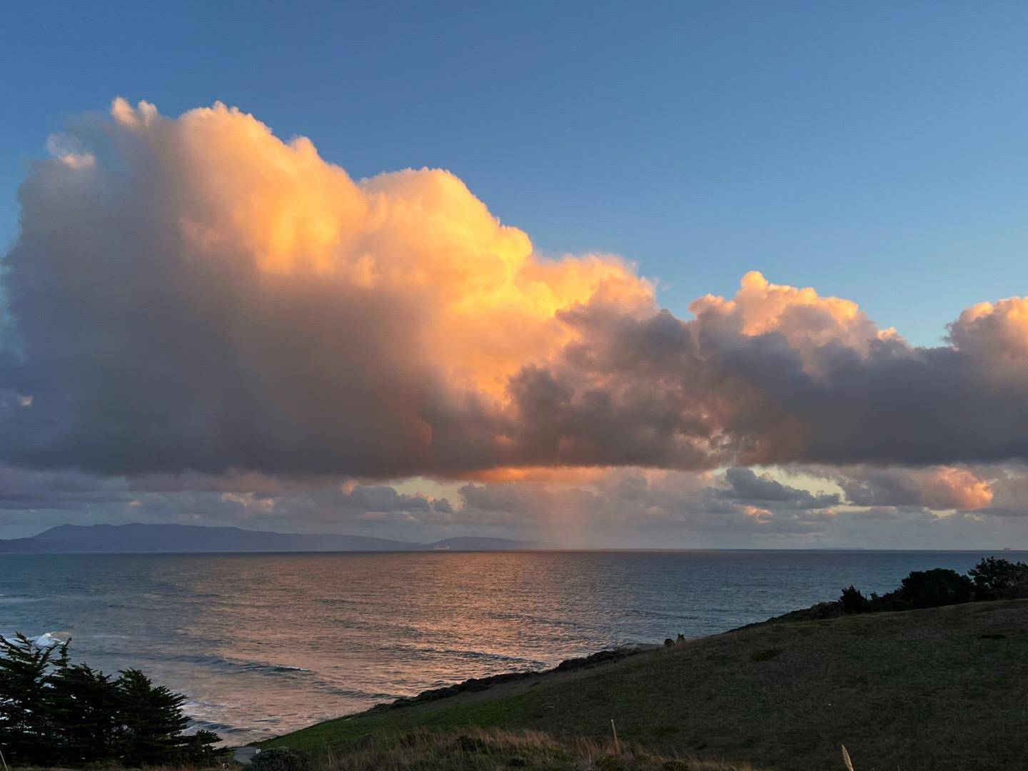 Pacifica, CA 94044,207 Roberts RD