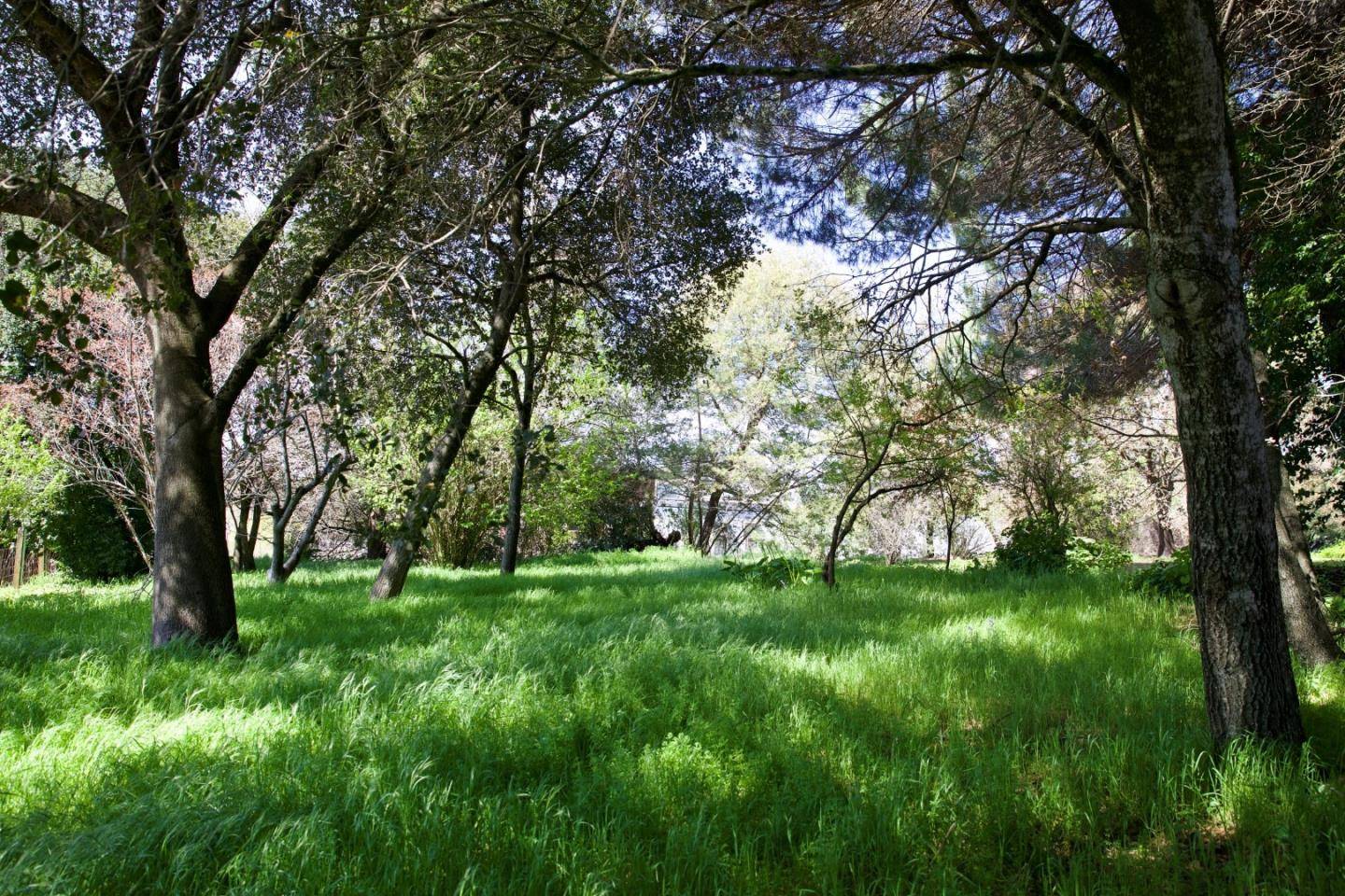 Penngrove, CA 94951,9989 Oak Street