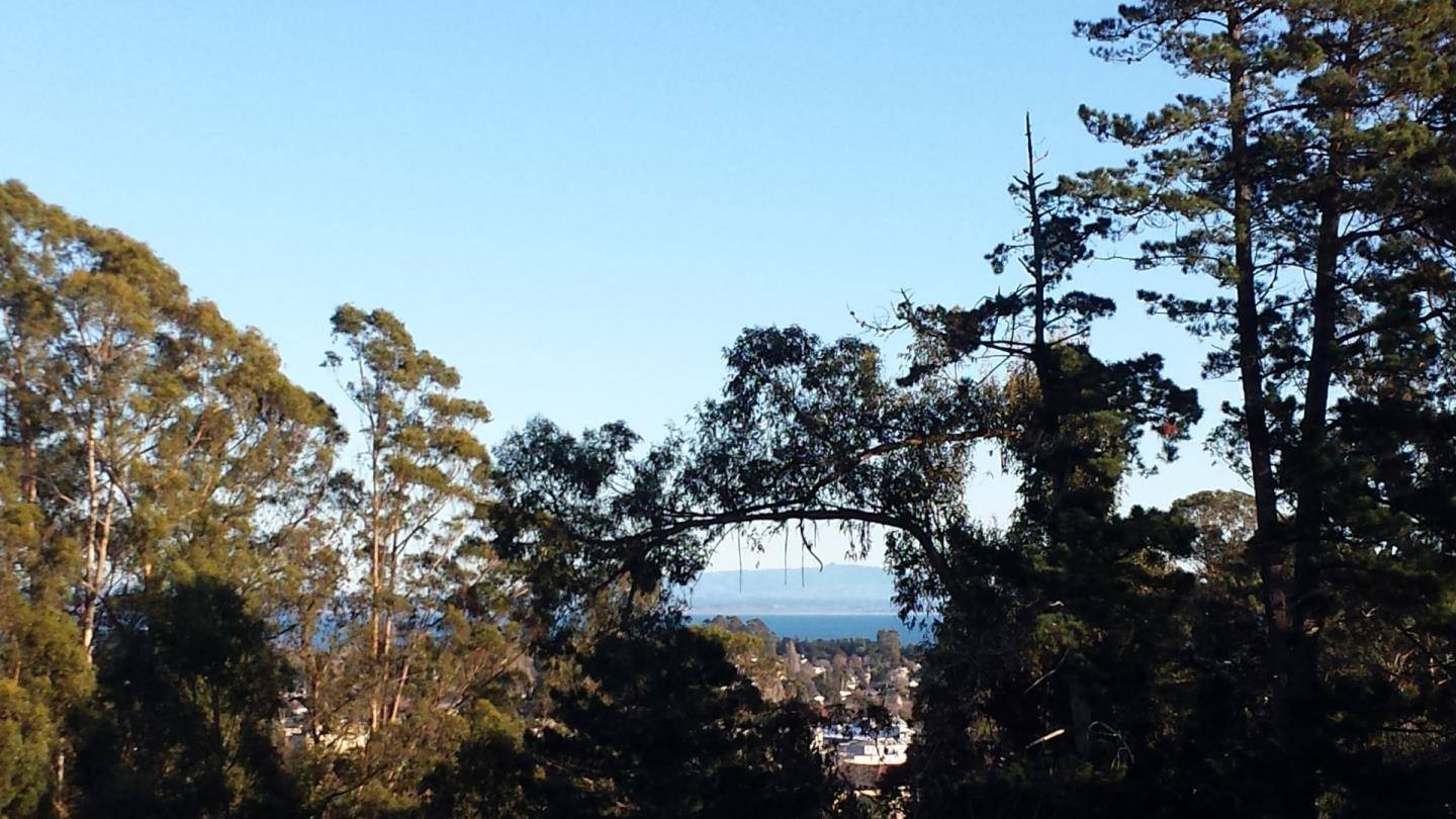 Santa Cruz, CA 95060,120 Alamo AVE