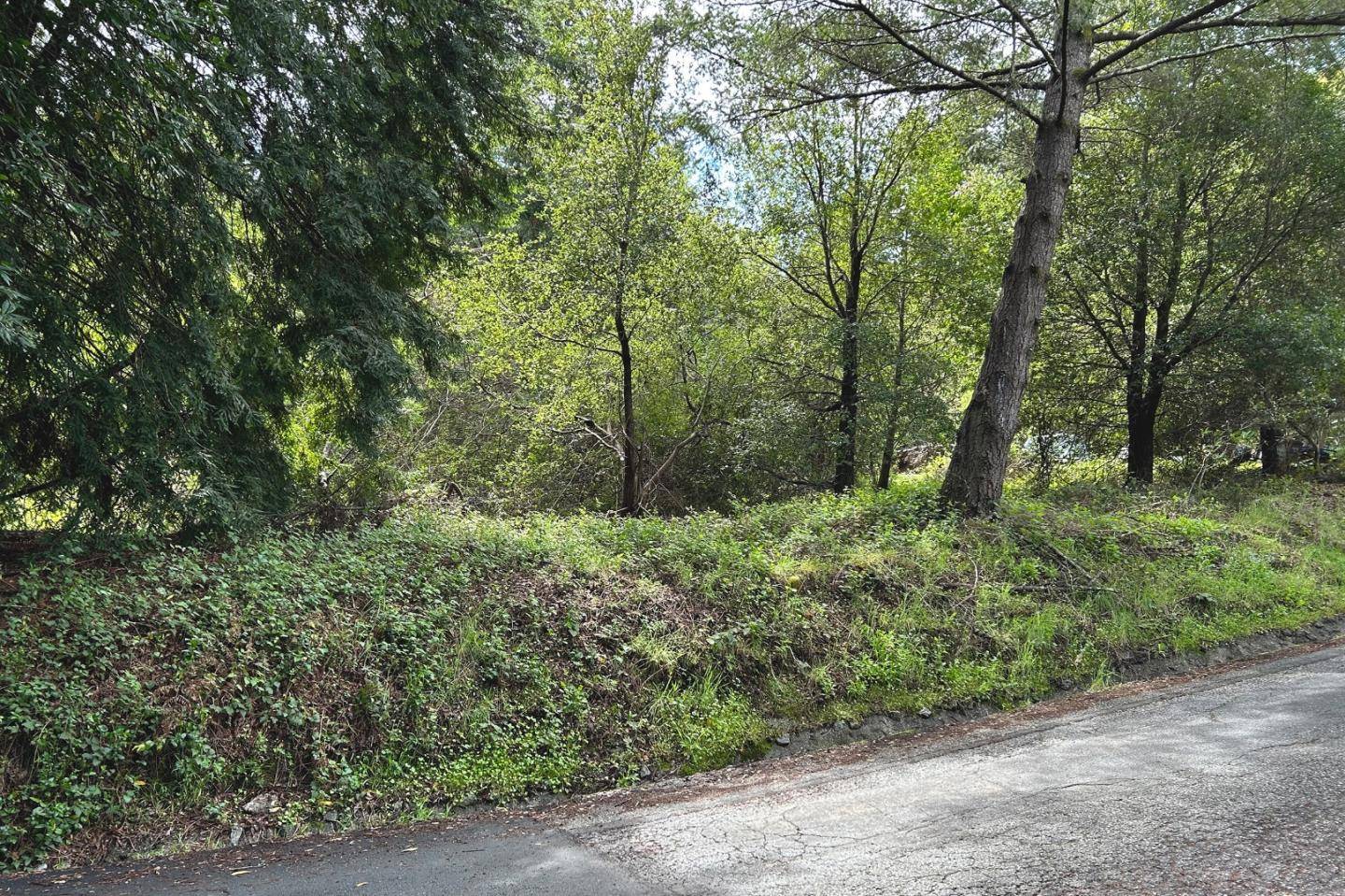 Santa Cruz, CA 95060,0 Miracle LN