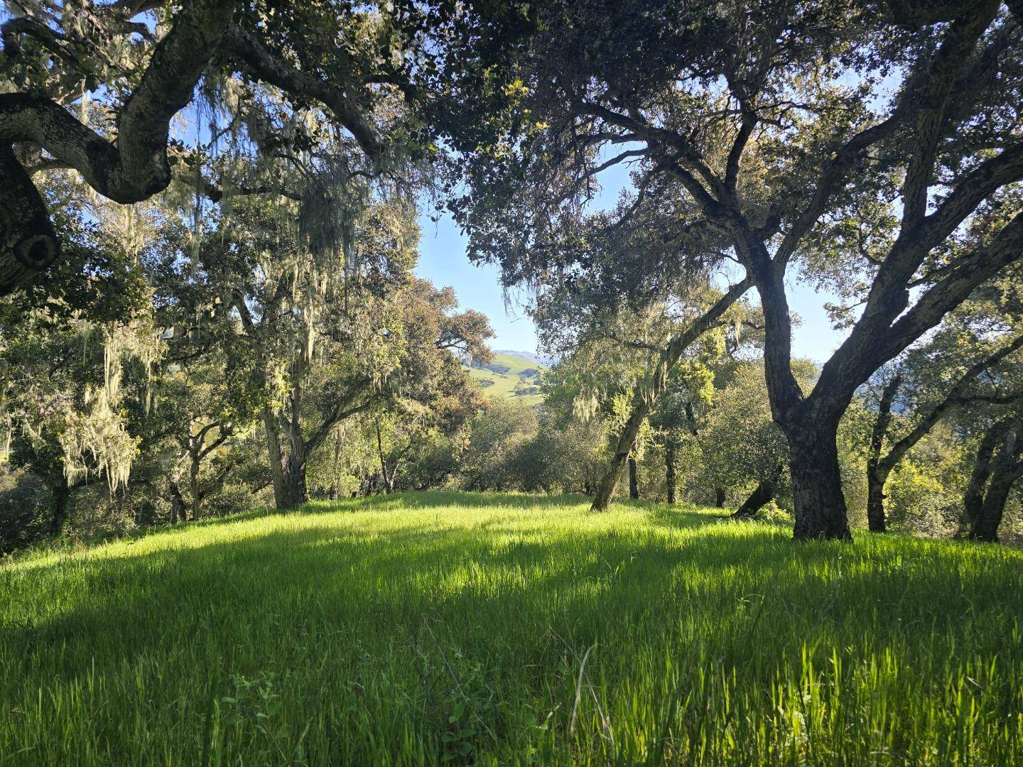 Carmel Valley, CA 93924,16 SLEEPY HOLLOW DRIVE