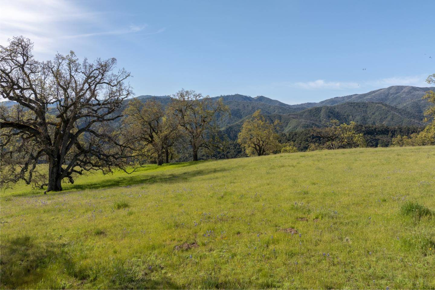 Carmel, CA 93923,16 Long Ridge (Lot 233) TRL