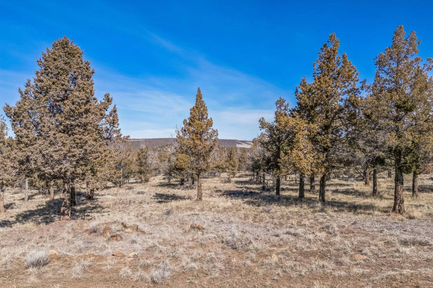 Alturas, CA 96101,0 County Road 270