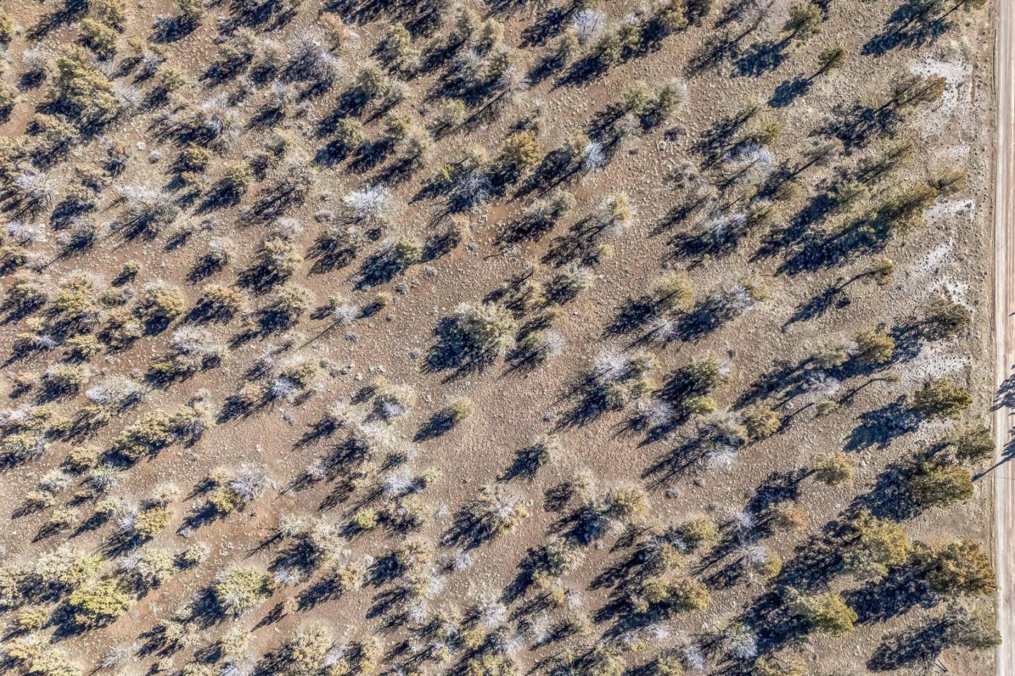 Alturas, CA 96101,0 County Road 270