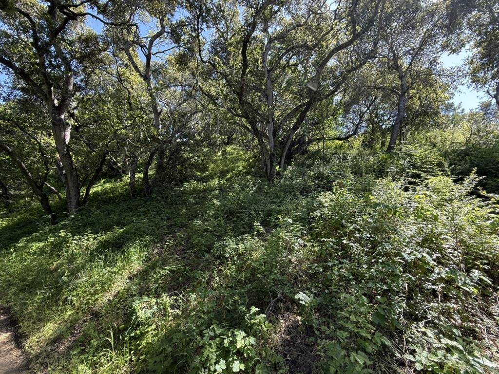 Belmont, CA 94002,0 Bartlett WAY