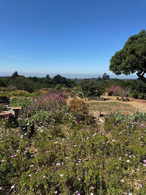 Salinas, CA 93907,19835 Wild Horse CT