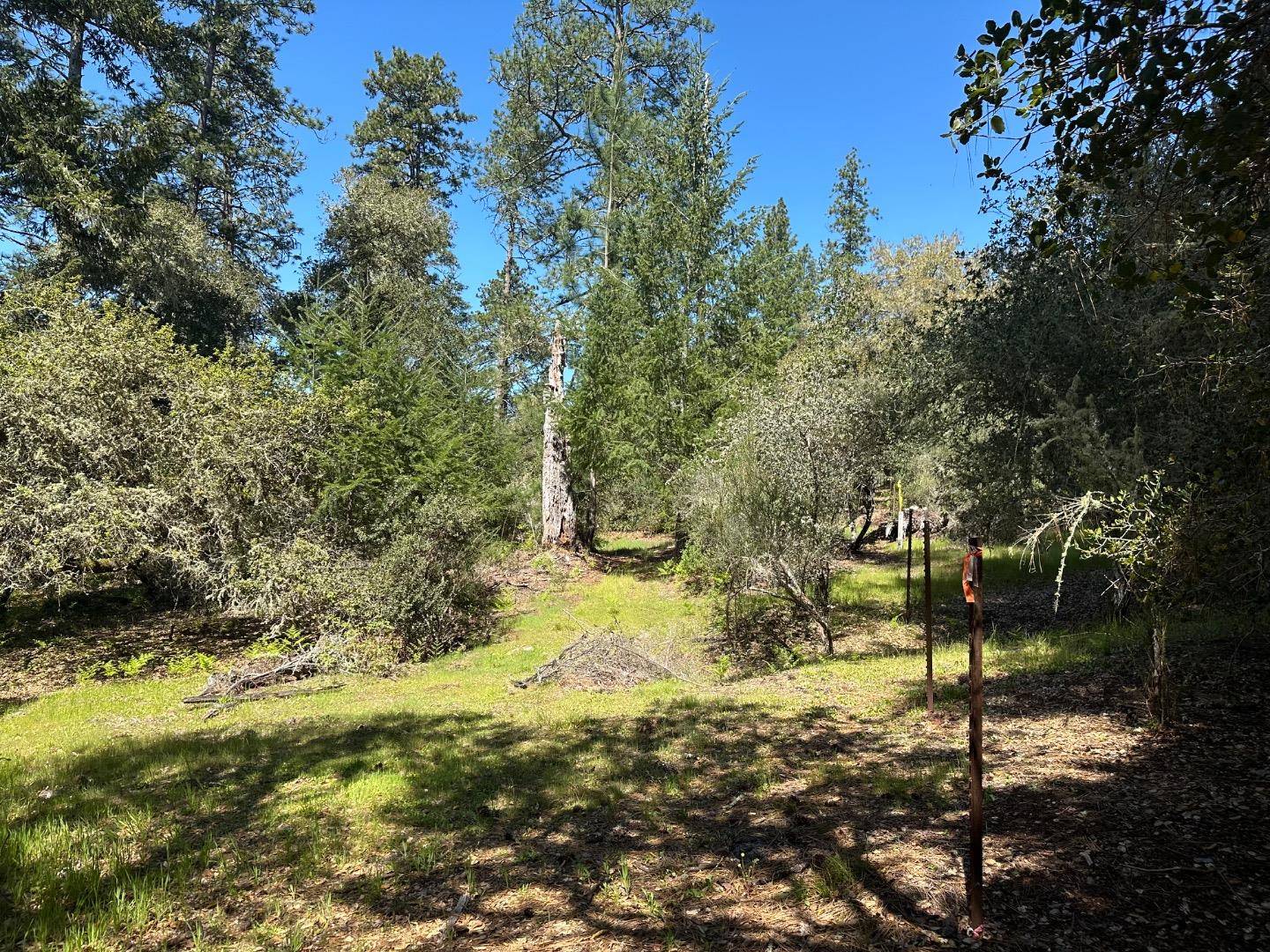 Scotts Valley, CA 95066,000 Hidden Glen DR