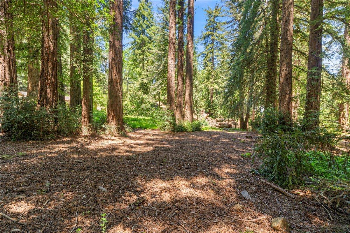 Los Gatos, CA 95030,0 Grove ST