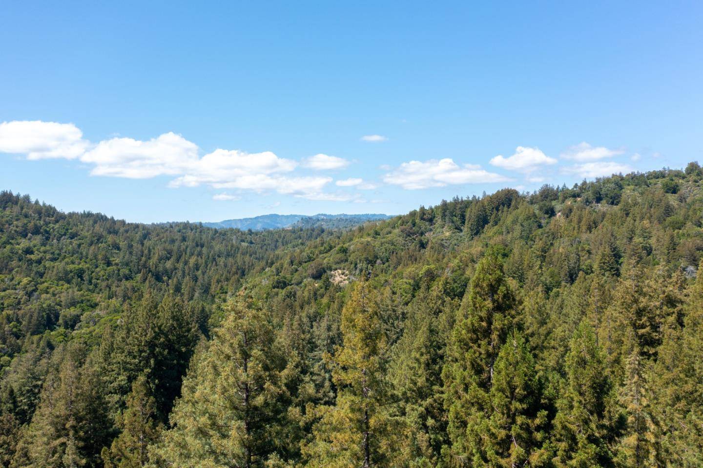 Felton, CA 95018,12316 La Lena ST