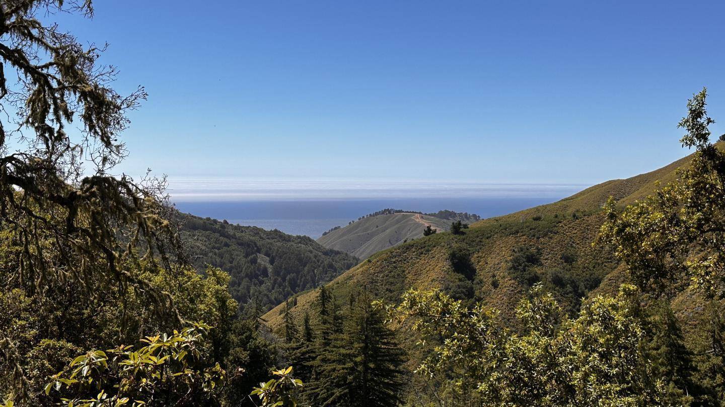 Carmel, CA 93923,37783 Palo Colorado RD