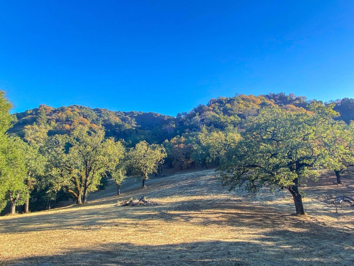 Carmel, CA 93923,22 Arroyo Sequoia