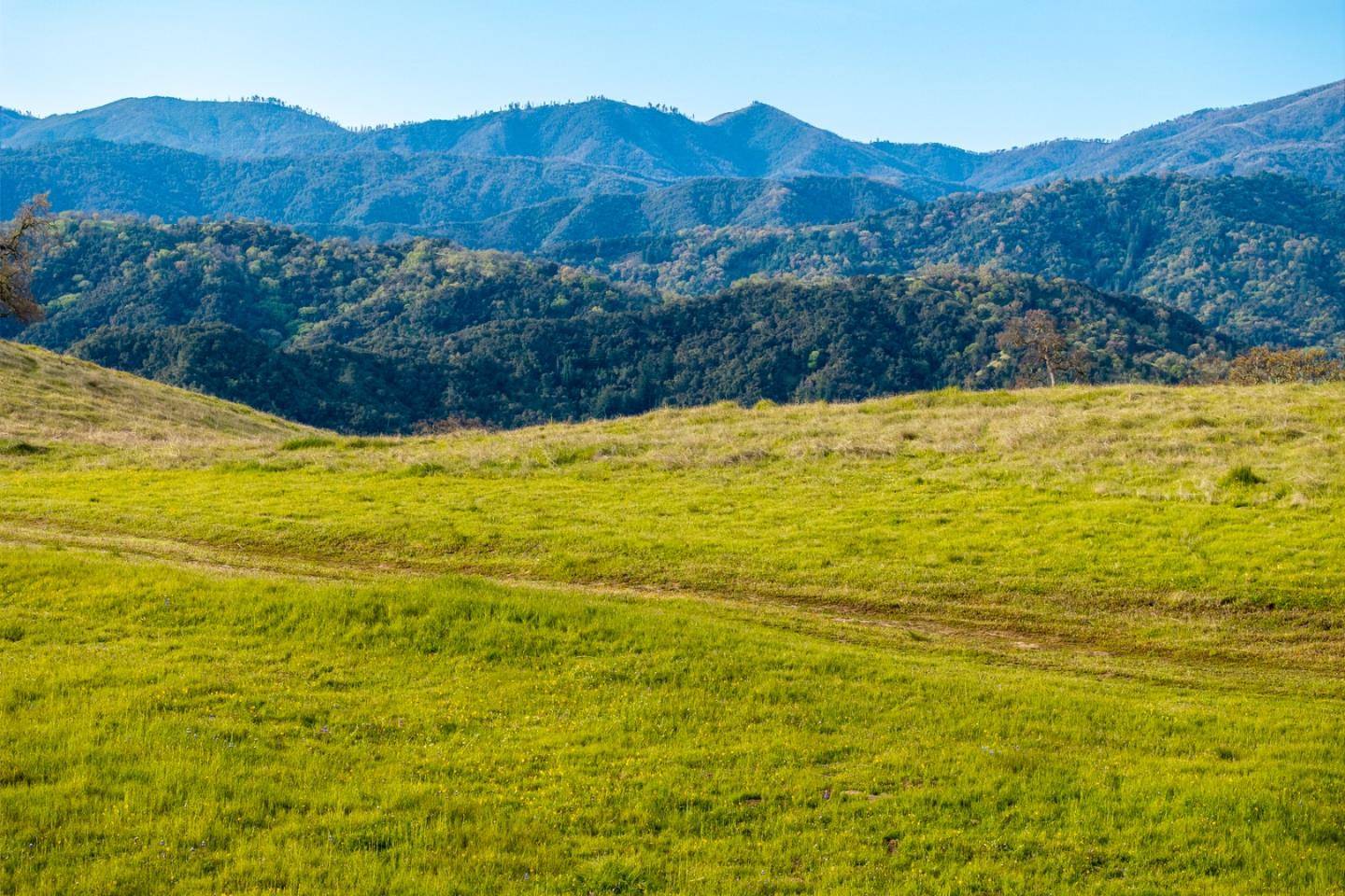 Carmel, CA 93923,24 Vasquez Trail (Lot 254)
