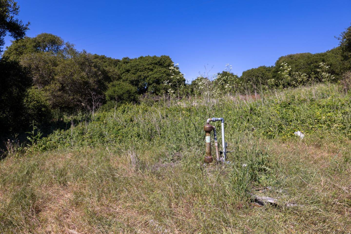 Castroville, CA 95012,0 Del Monte Farms RD