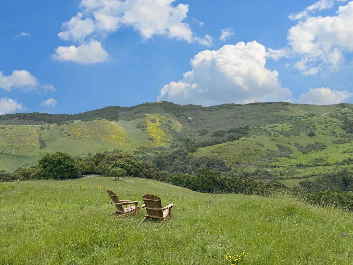 Carmel, CA 93923,29 Potrero TRL