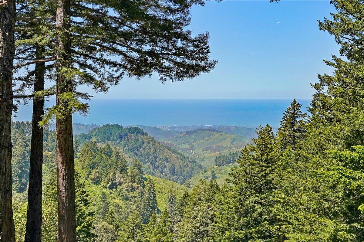 Woodside, CA 94062,12960 Skyline BLVD