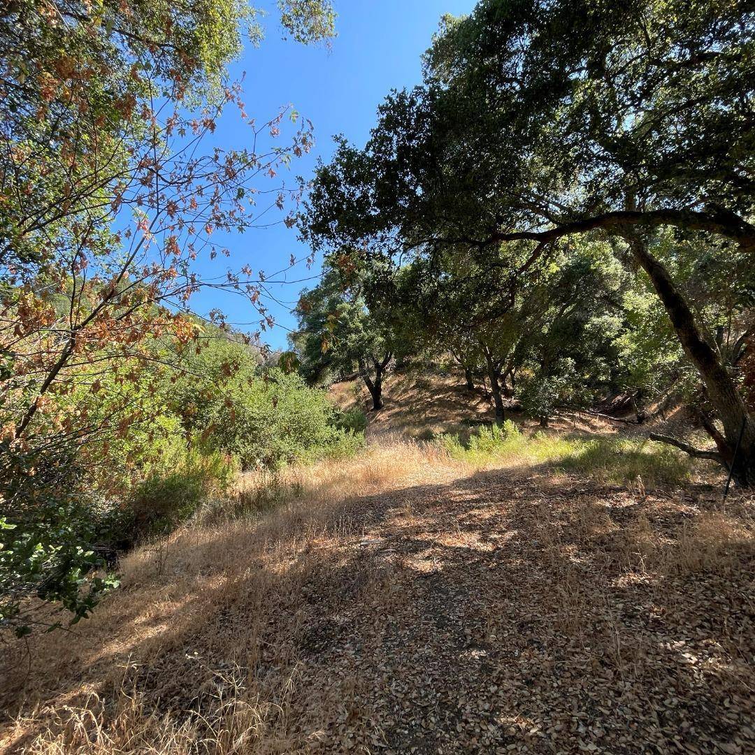 Morgan Hill, CA 95037,15580 Armsby LN