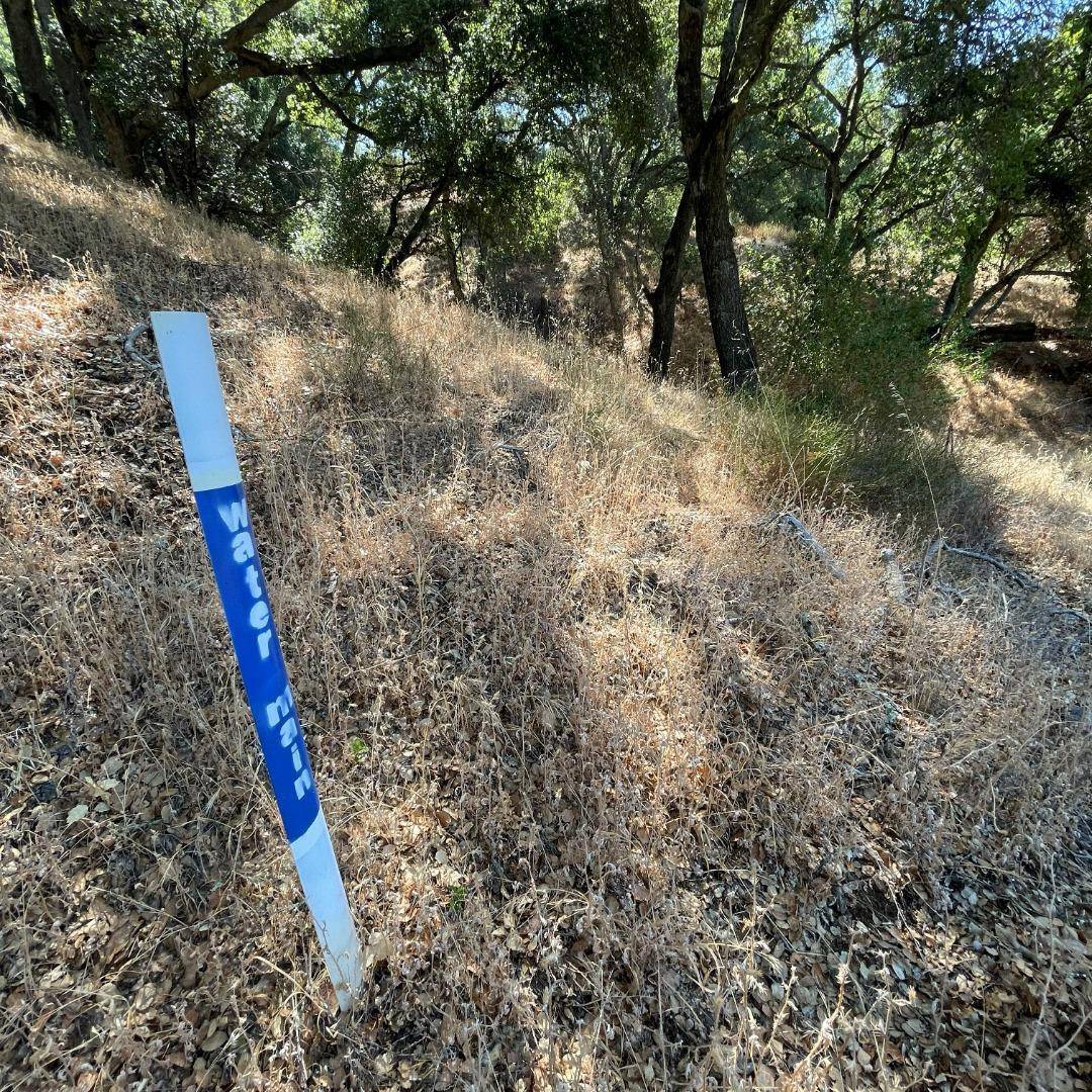 Morgan Hill, CA 95037,15580 Armsby LN