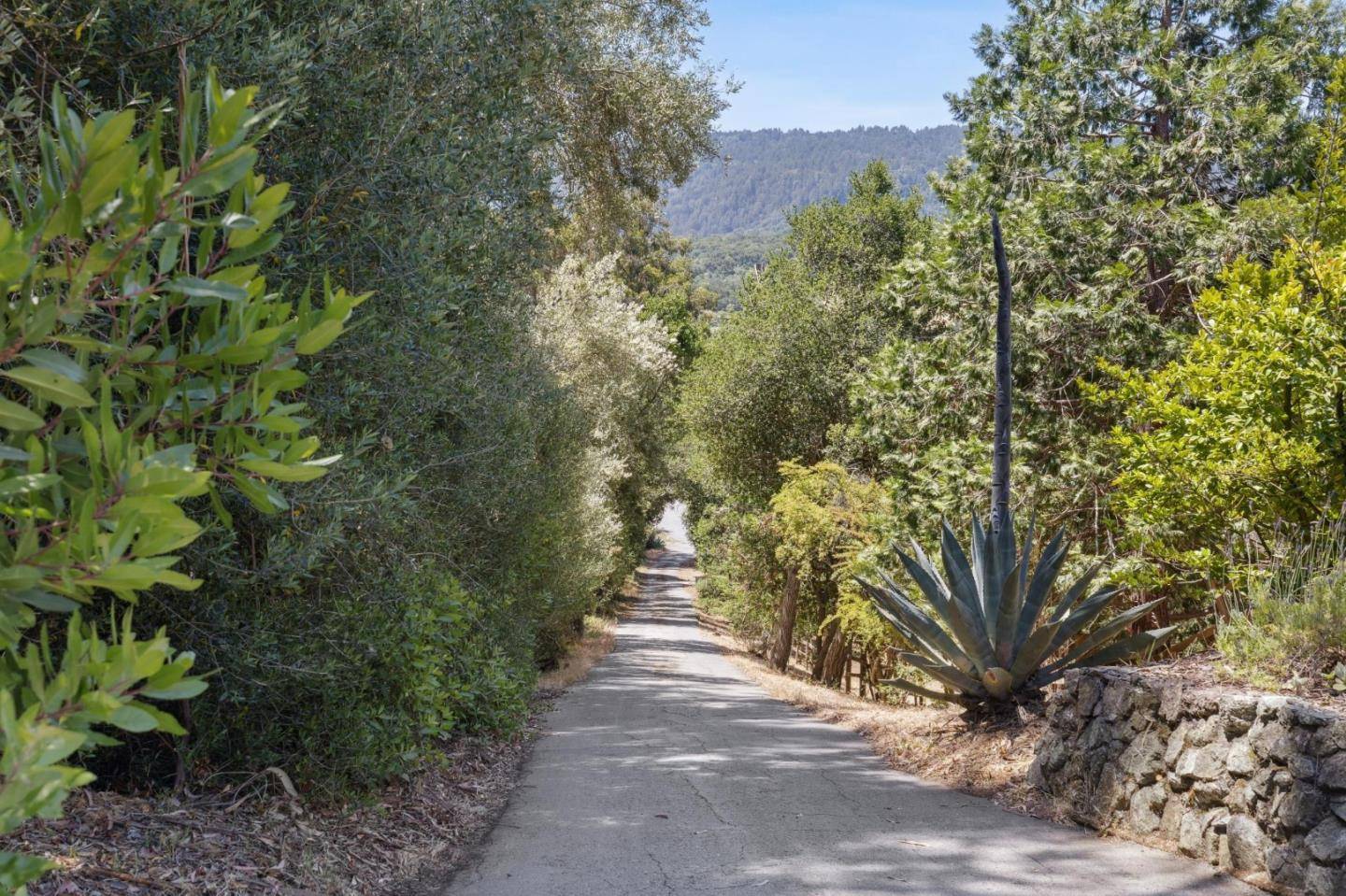 Woodside, CA 94062,1207 Godetia DR
