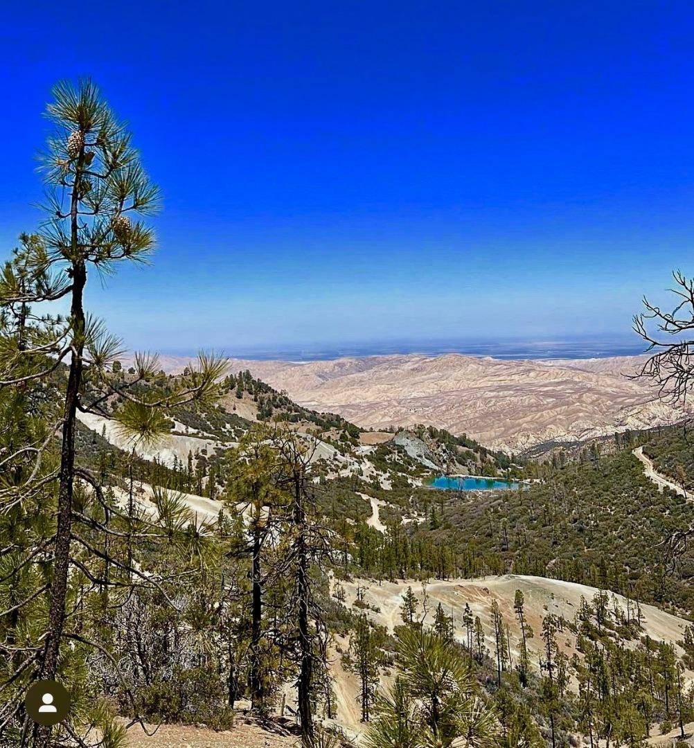 Paicines, CA 95043,0 New Idria RD