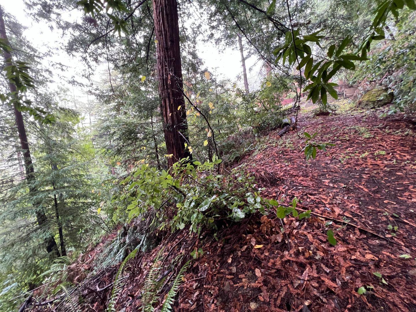 Scotts Valley, CA 95066,0 Deer Trail WAY