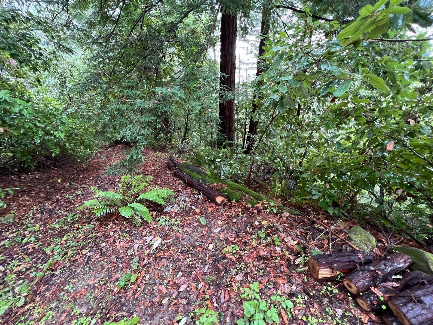 Scotts Valley, CA 95066,0 Deer Trail WAY