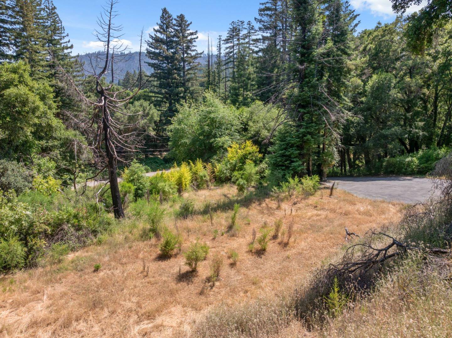 Boulder Creek, CA 95006,201 Hill House RD