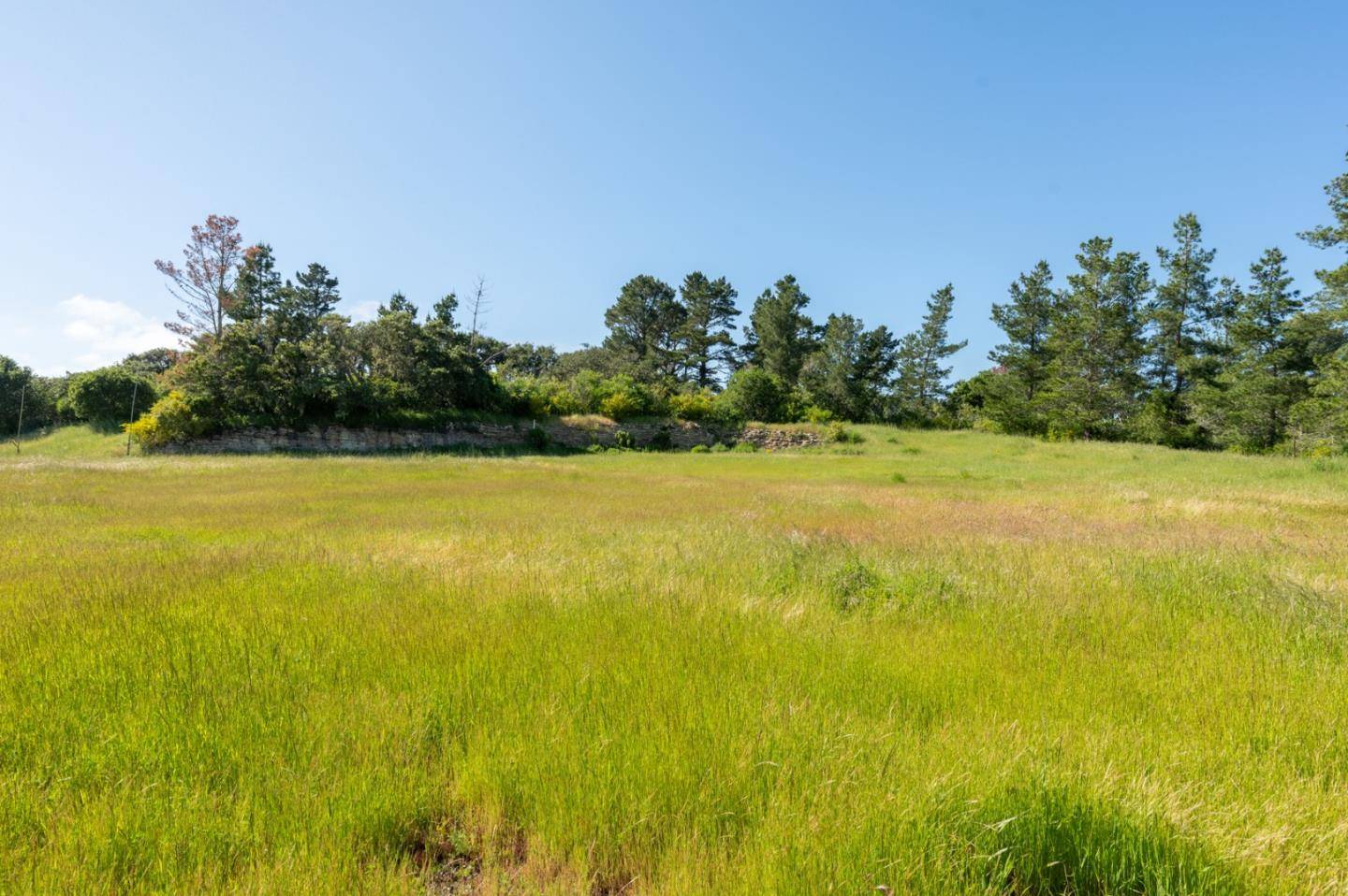 Carmel, CA 93923,42 Tehama (Lot 23)