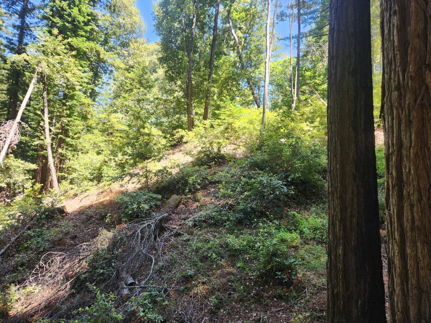 Los Gatos, CA 95033,0 Lost Valley