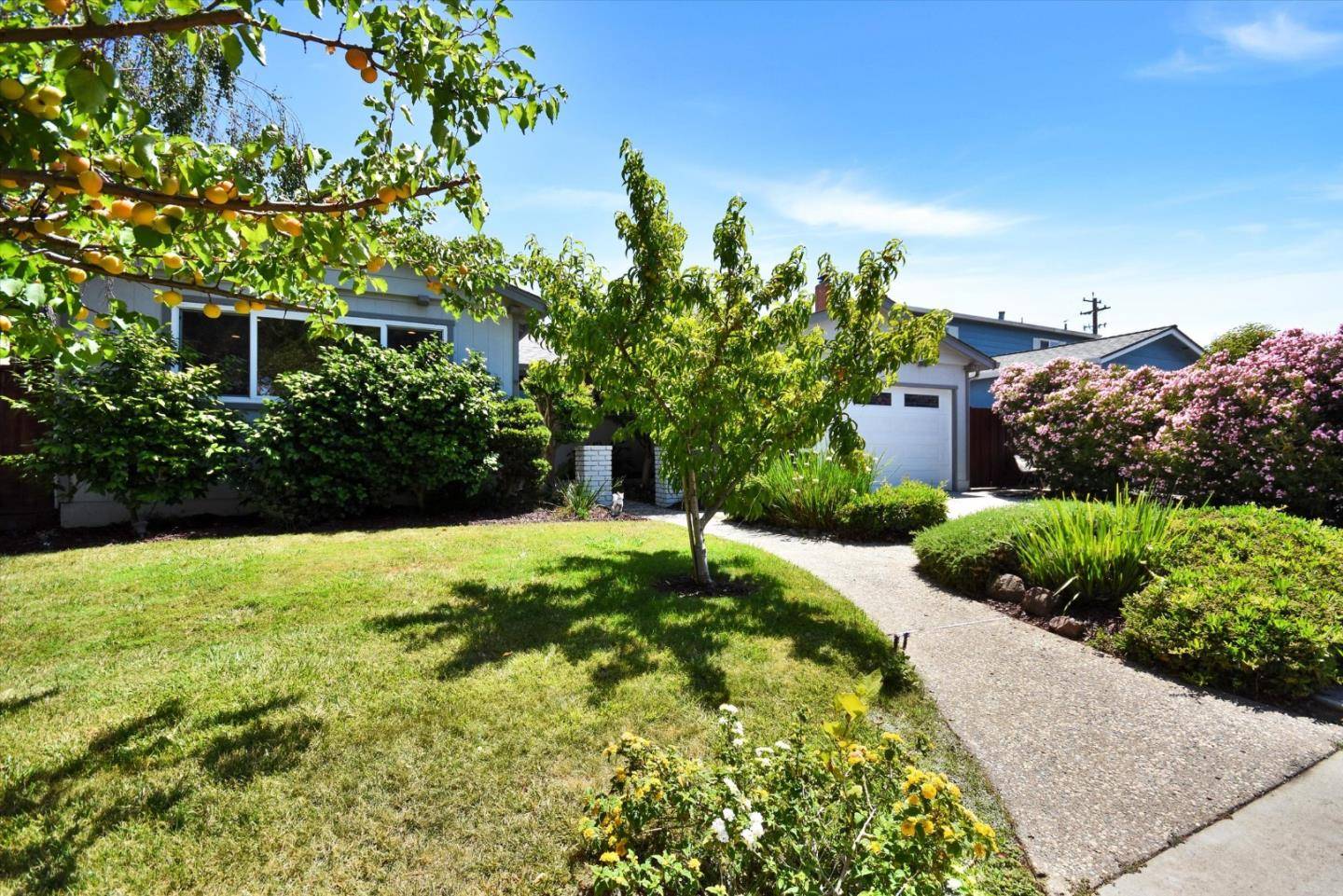 Campbell, CA 95008,448 Kings CT
