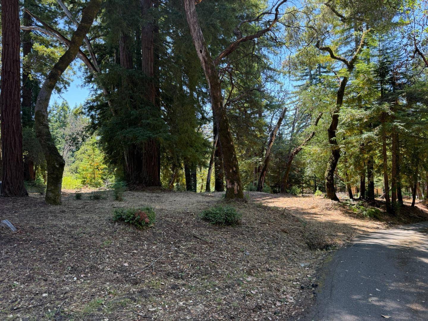 Los Gatos, CA 95033,0 Debbie