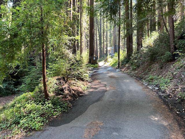 Boulder Creek, CA 95006,141 Leafwood DR