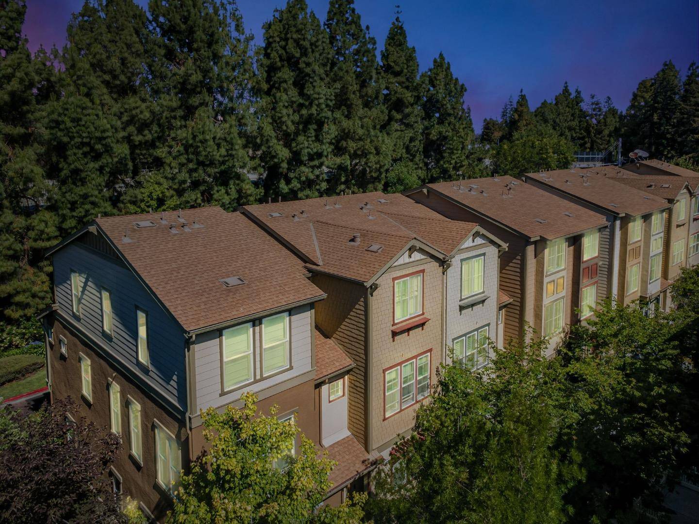 Sunnyvale, CA 94086,207 Peppermint Tree TER 4