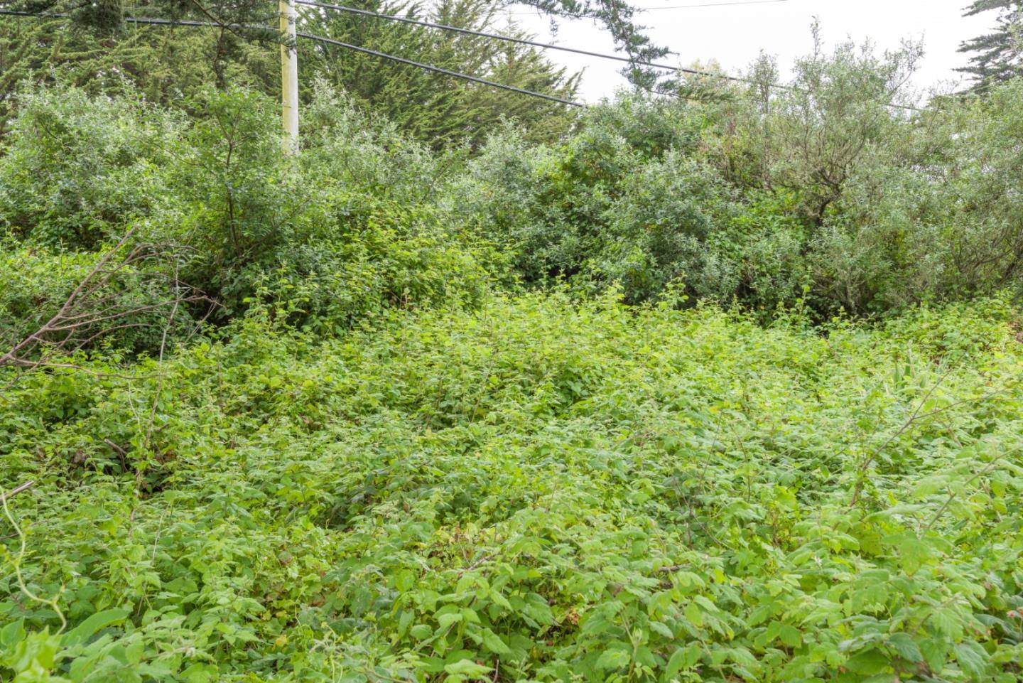 Moss Beach, CA 94038,0000 Oak AVE