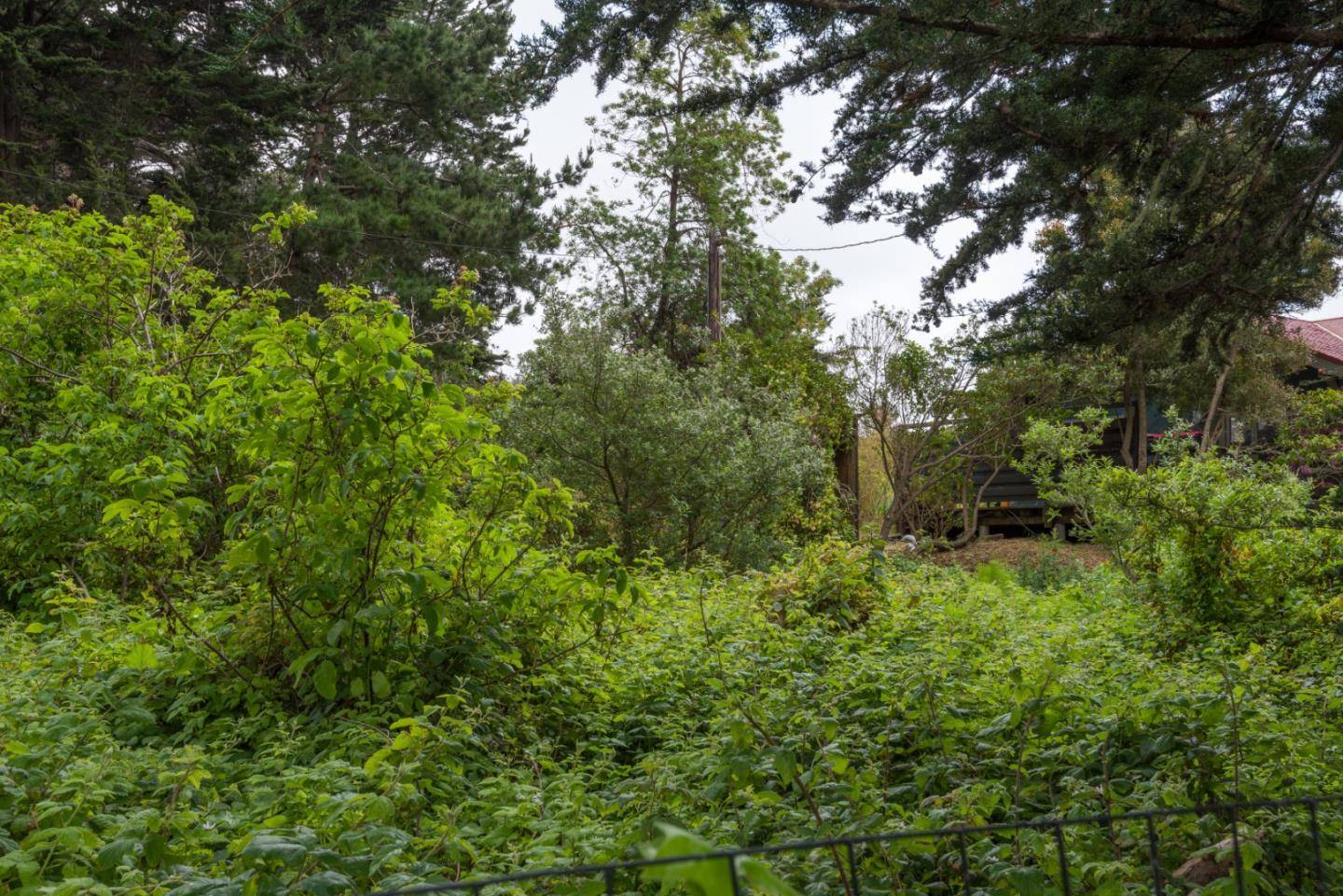 Moss Beach, CA 94038,0000 Oak AVE