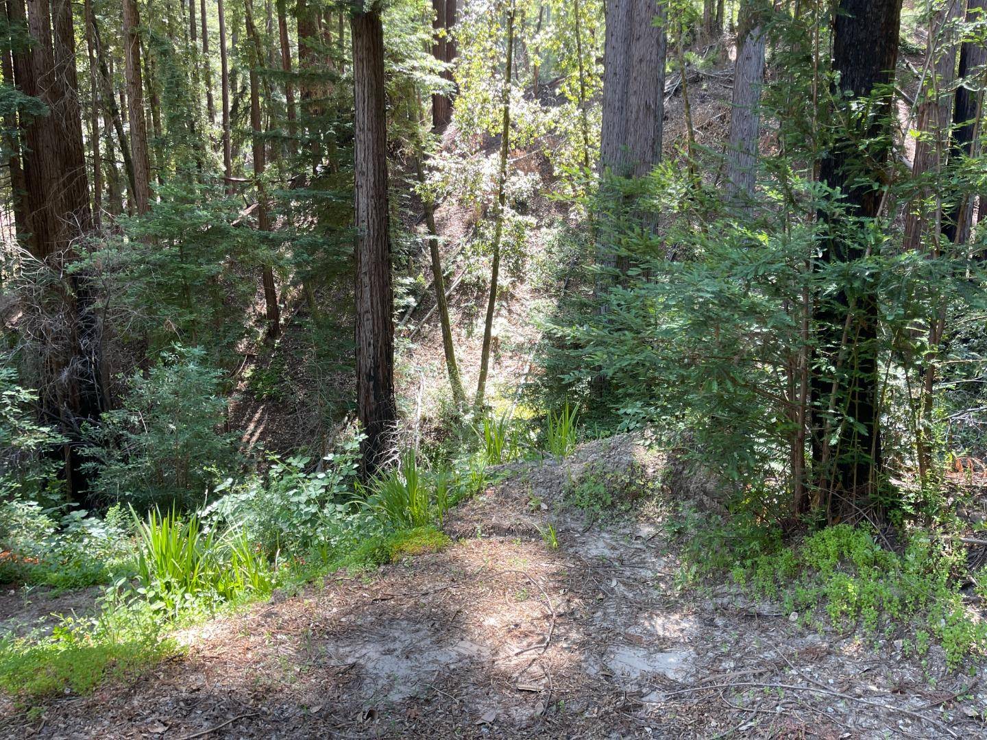 Boulder Creek, CA 95006,506 Sunset RD