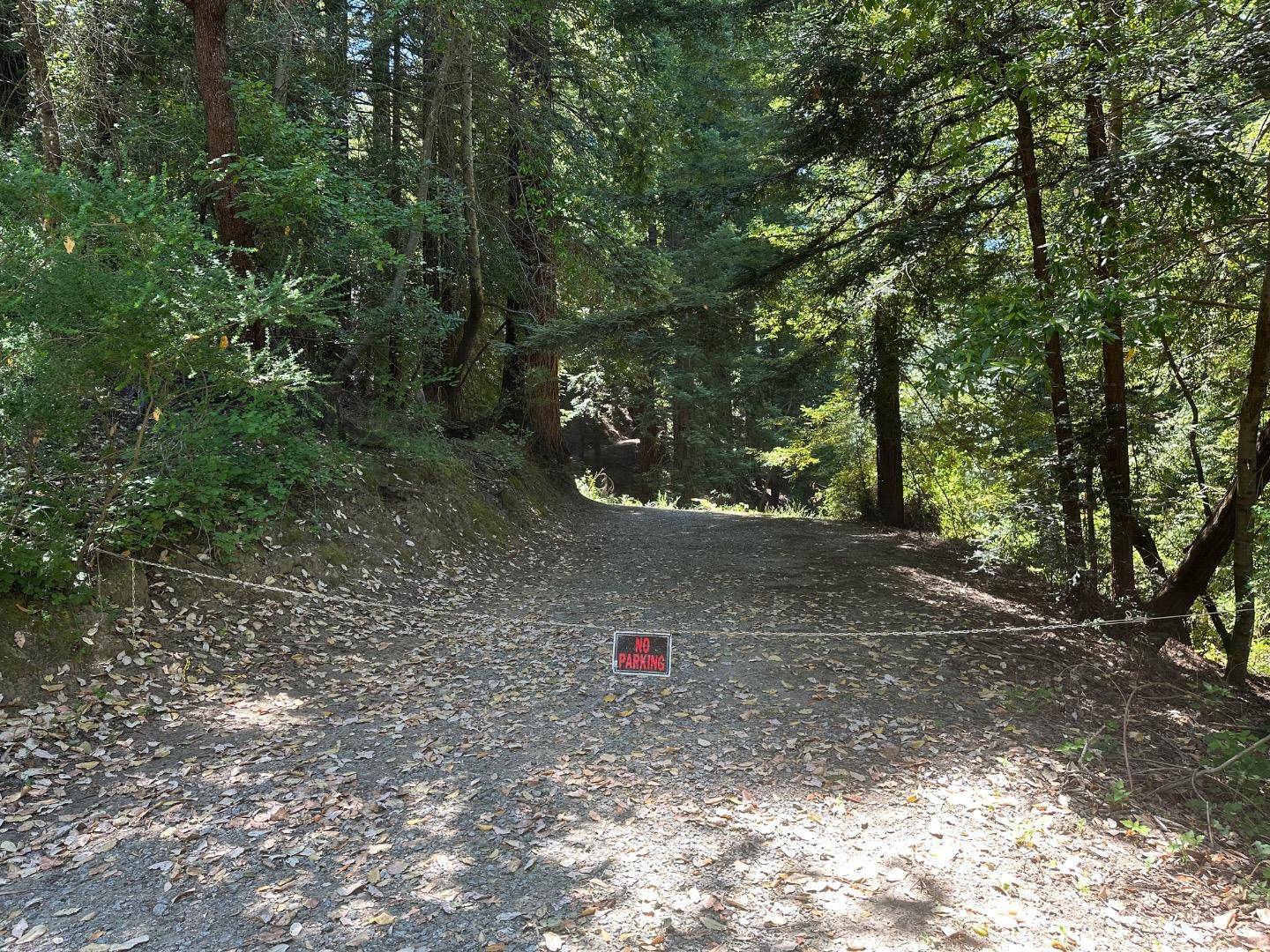 Los Gatos, CA 95033,0000 Main BLVD