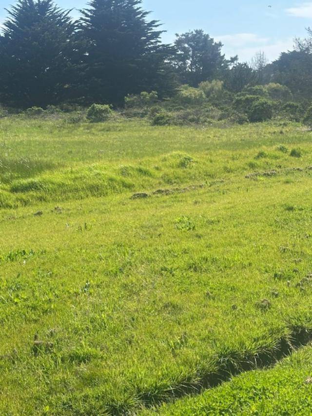 Half Moon Bay, CA 94019,100 Park