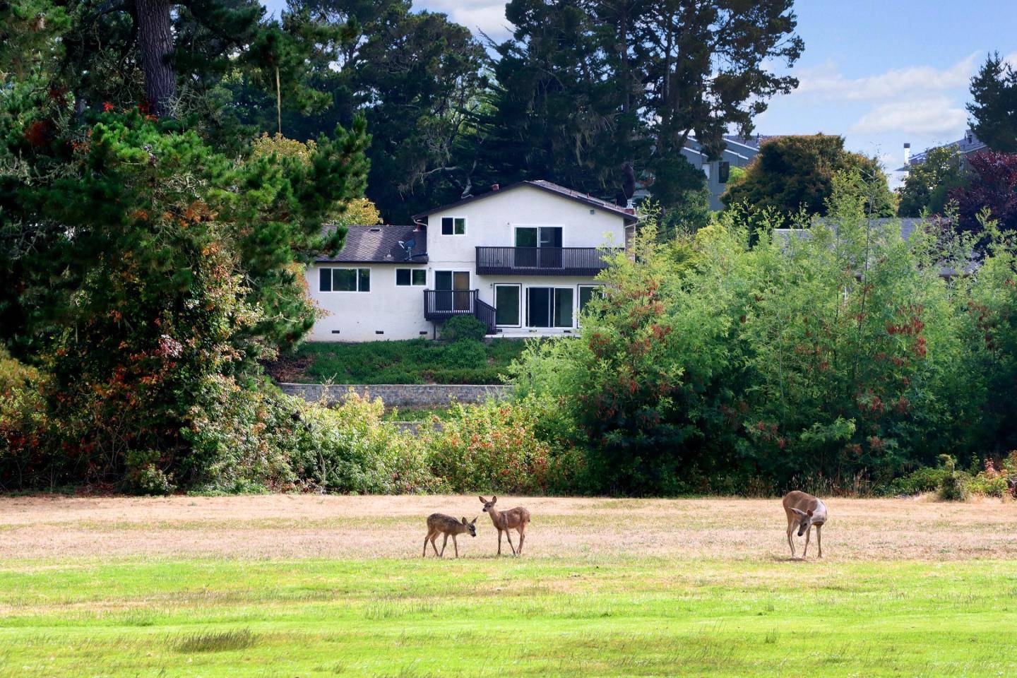 Aptos, CA 95003,1079 Sumner AVE