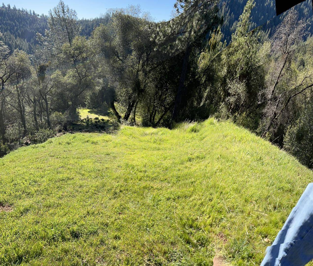 Sutter Creek, CA 95685,17252 Shake Ridge RD