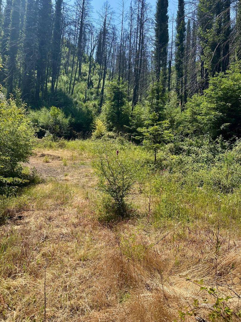 Davenport, CA 95017,678 Swanton RD