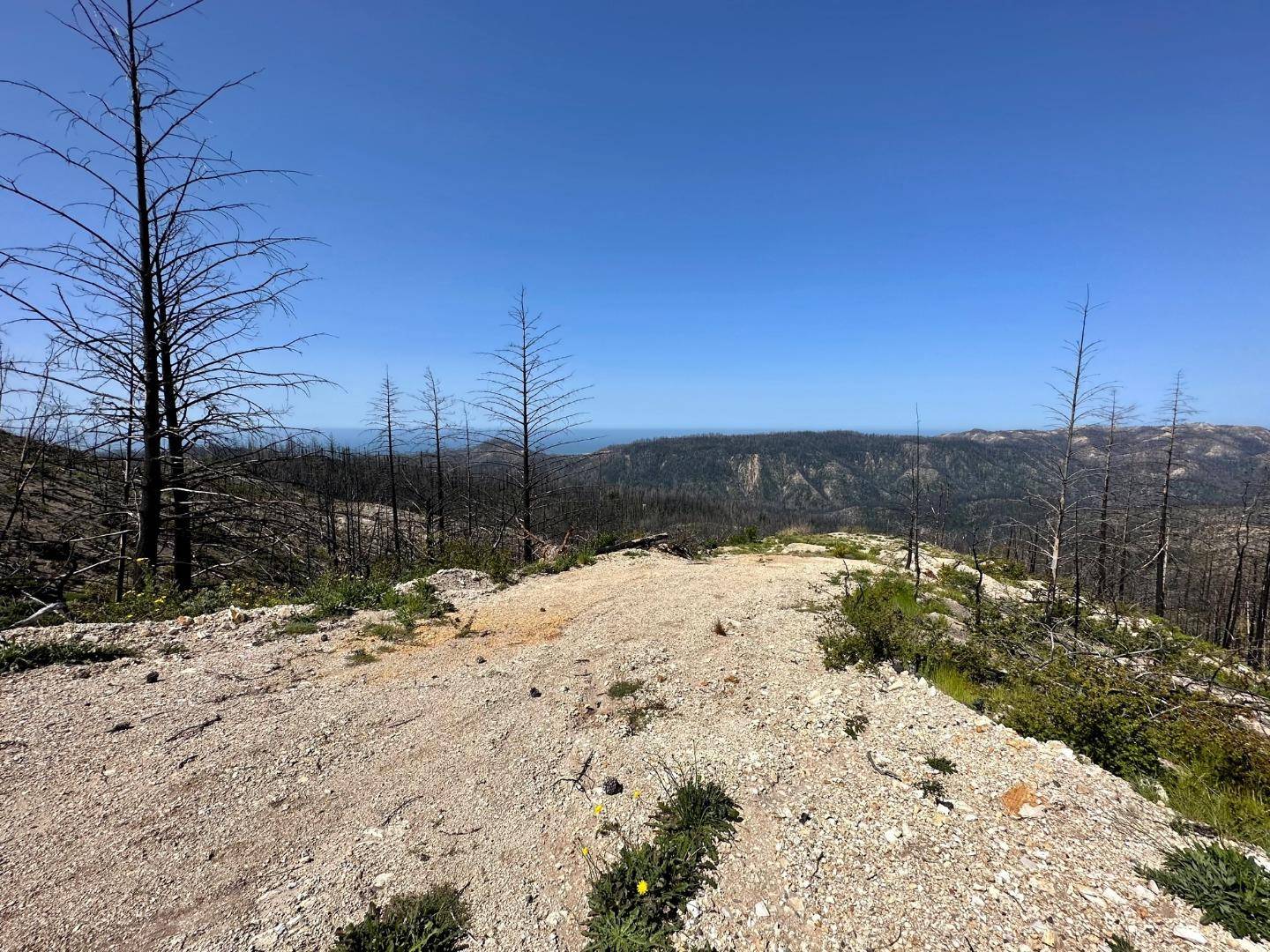 Davenport, CA 95017,0 S Pine Mountain Rd.