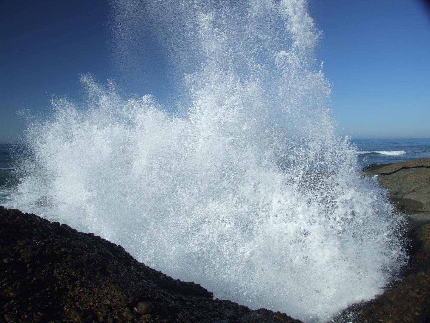 Pescadero, CA 94060,10247 Cabrillo HWY