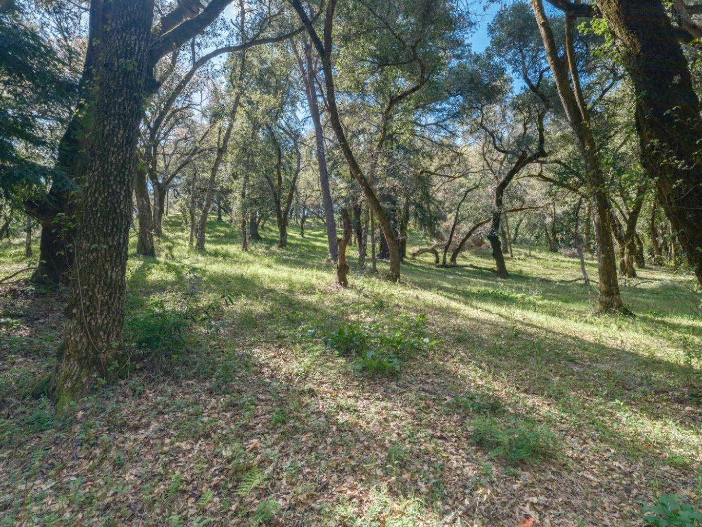 Carmel Valley, CA 93923,35000 Robinson Canyon RD