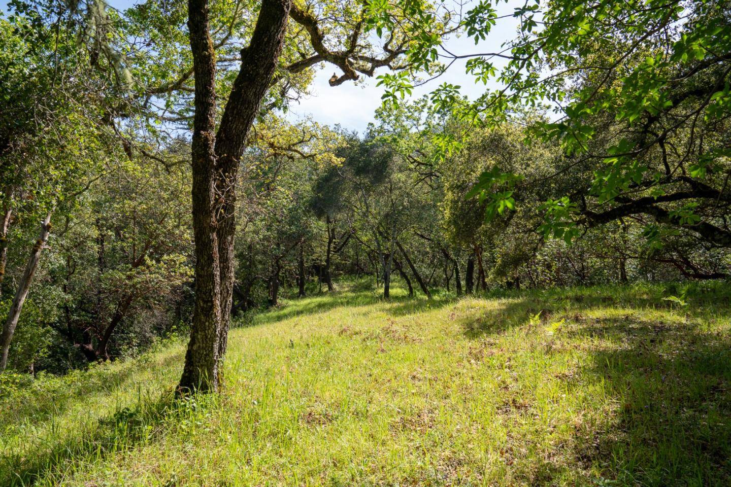 Carmel Valley, CA 93923,35000 Robinson Canyon RD