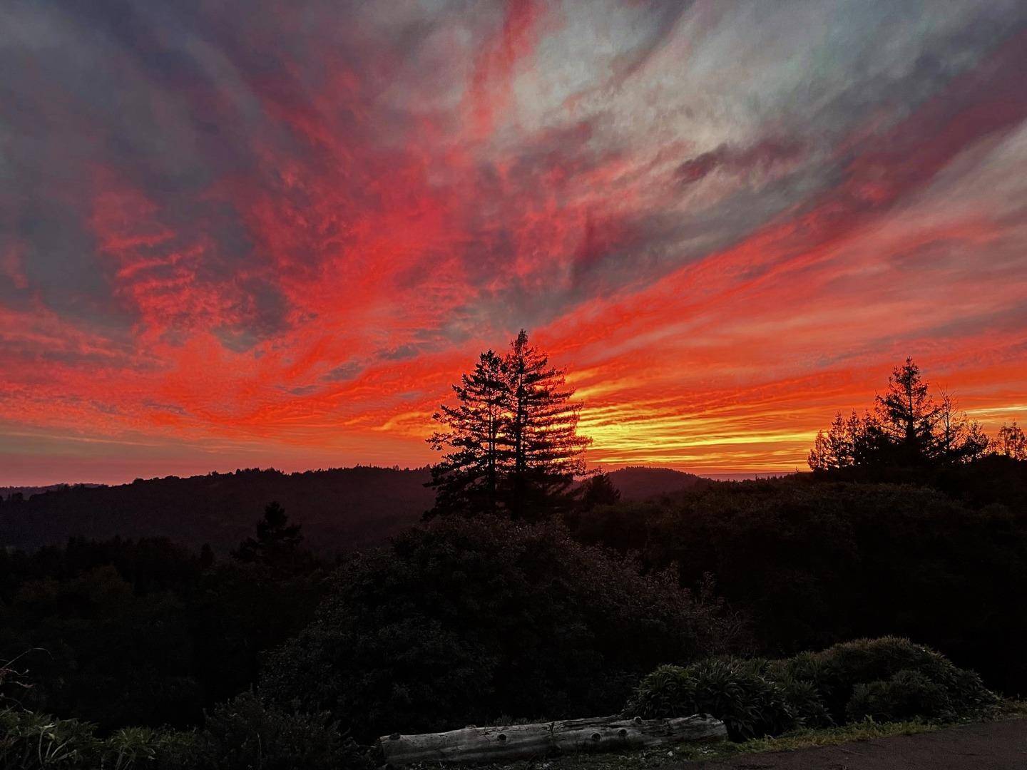 Corralitos, CA 95076,1584 Tindall Ranch RD