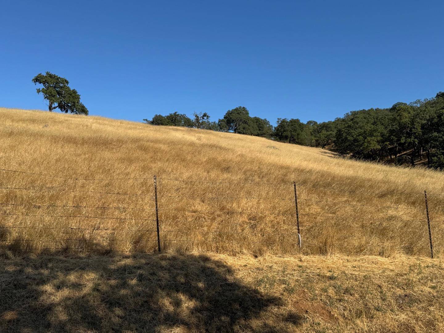 San Martin, CA 95046,0 W San Martin AVE