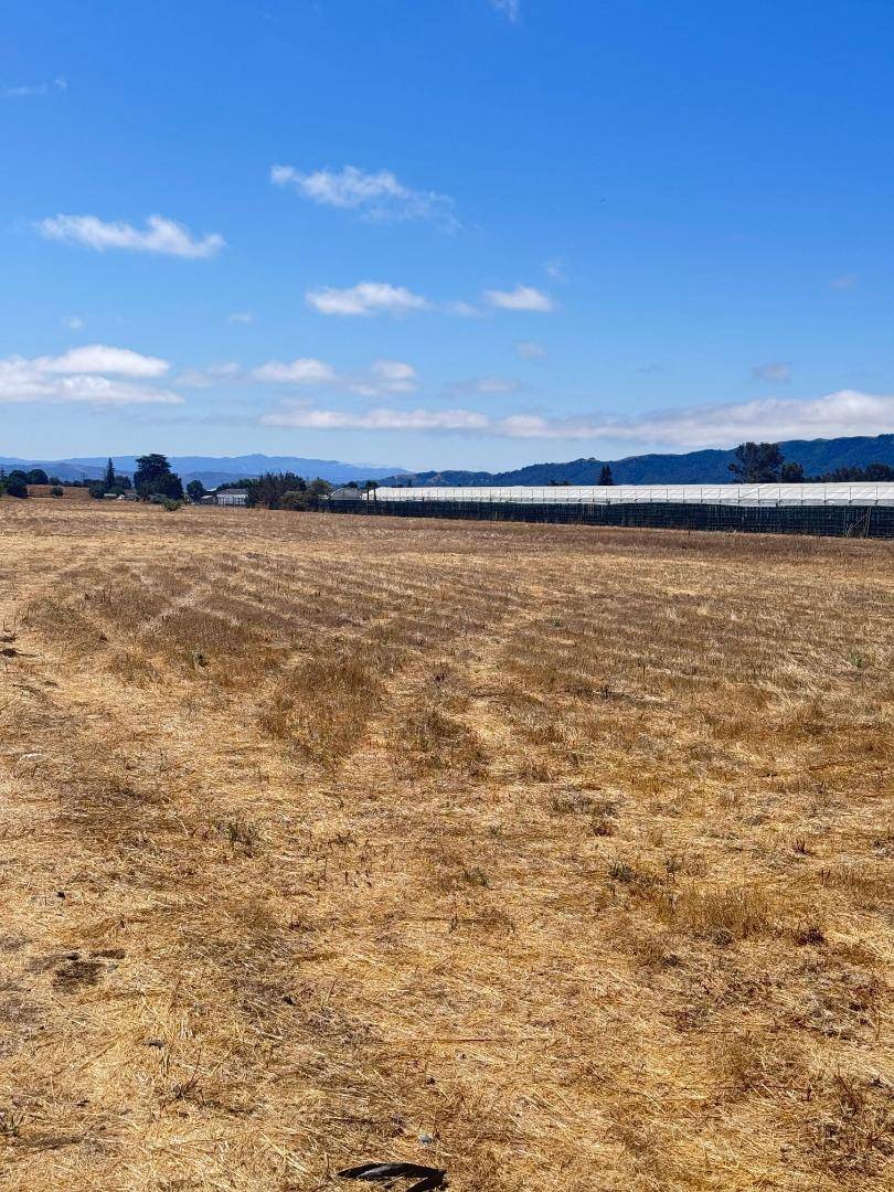 Gilroy, CA 95020,0 APN 835-07-018 and APN 835-07-019 AVE