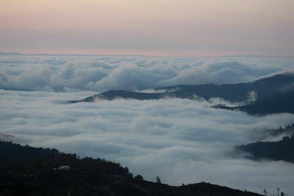 Los Gatos, CA 95033,35005 Loma Chiquita RD