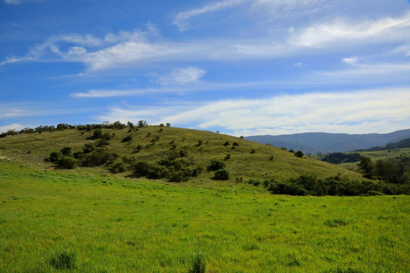 Carmel, CA 93923,1 Penon Peak (Lot 217) TRL