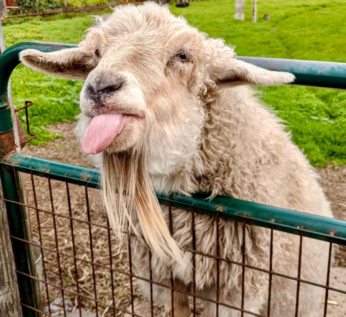 Moss Beach, CA 94038,000 San Lucas